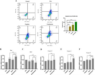 Combination of Vitex pseudo-negundo methanolic-extract with cisplatin can induce antioxidant activity and apoptosis in HeLa and Caski cells